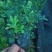 米兰各种规格的有需要的联系我