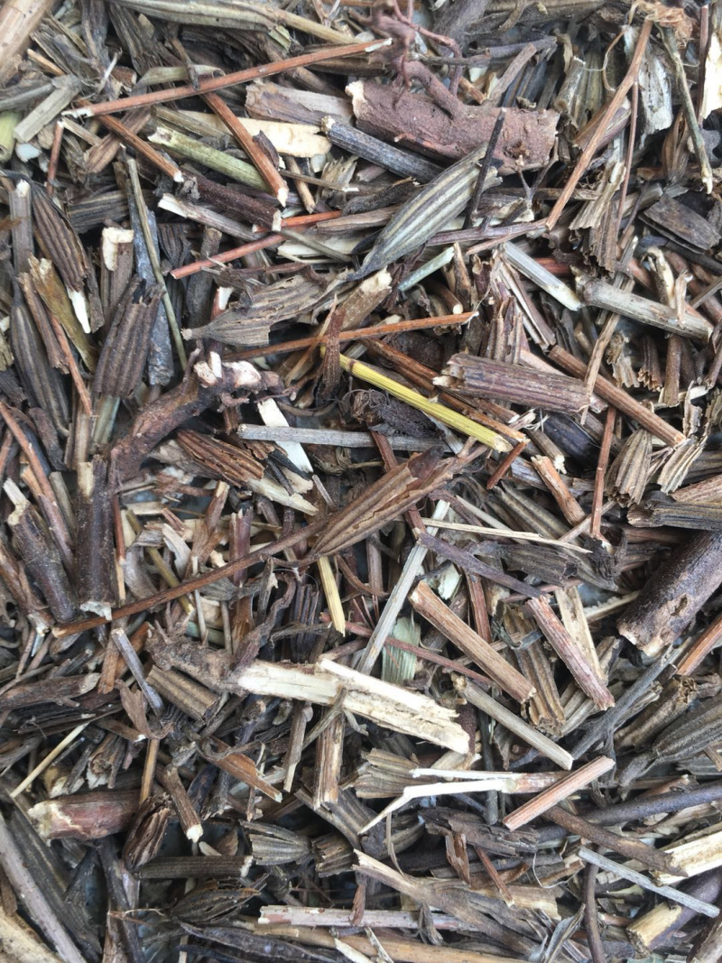 北刘寄奴【包邮】三斤起发货可批量可零售量大从优