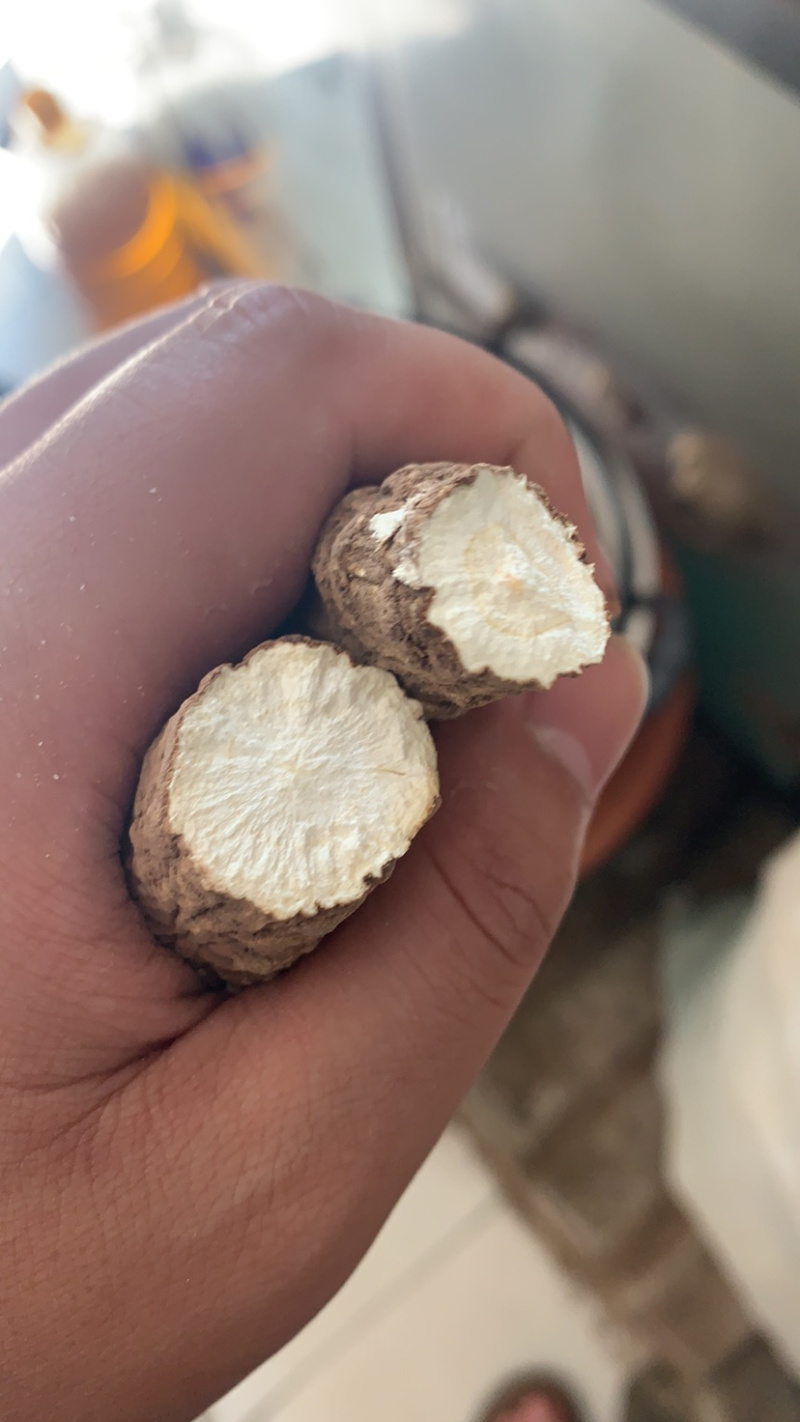 白芷各种规格价格便宜质量又好