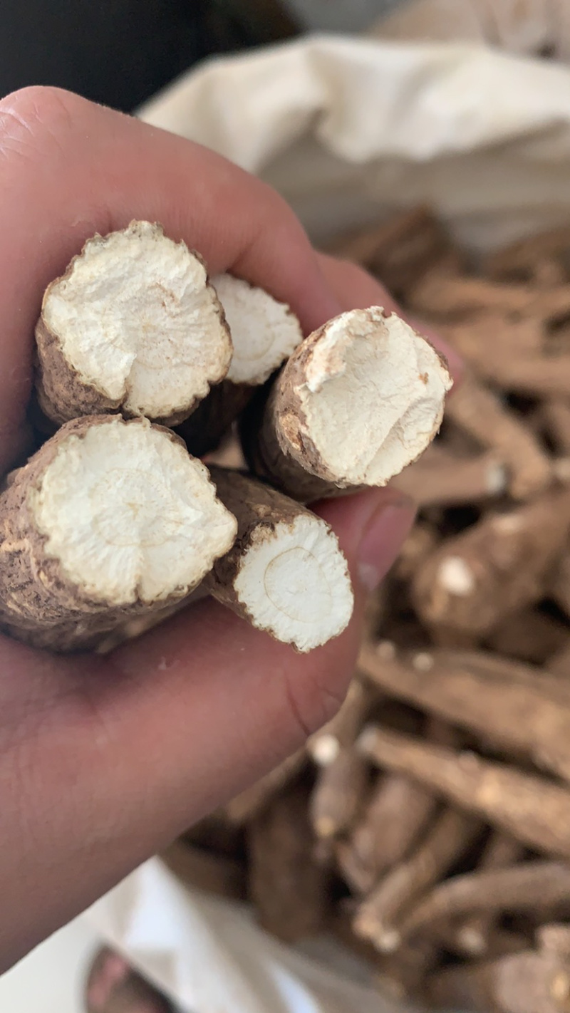 白芷各种规格价格便宜质量又好