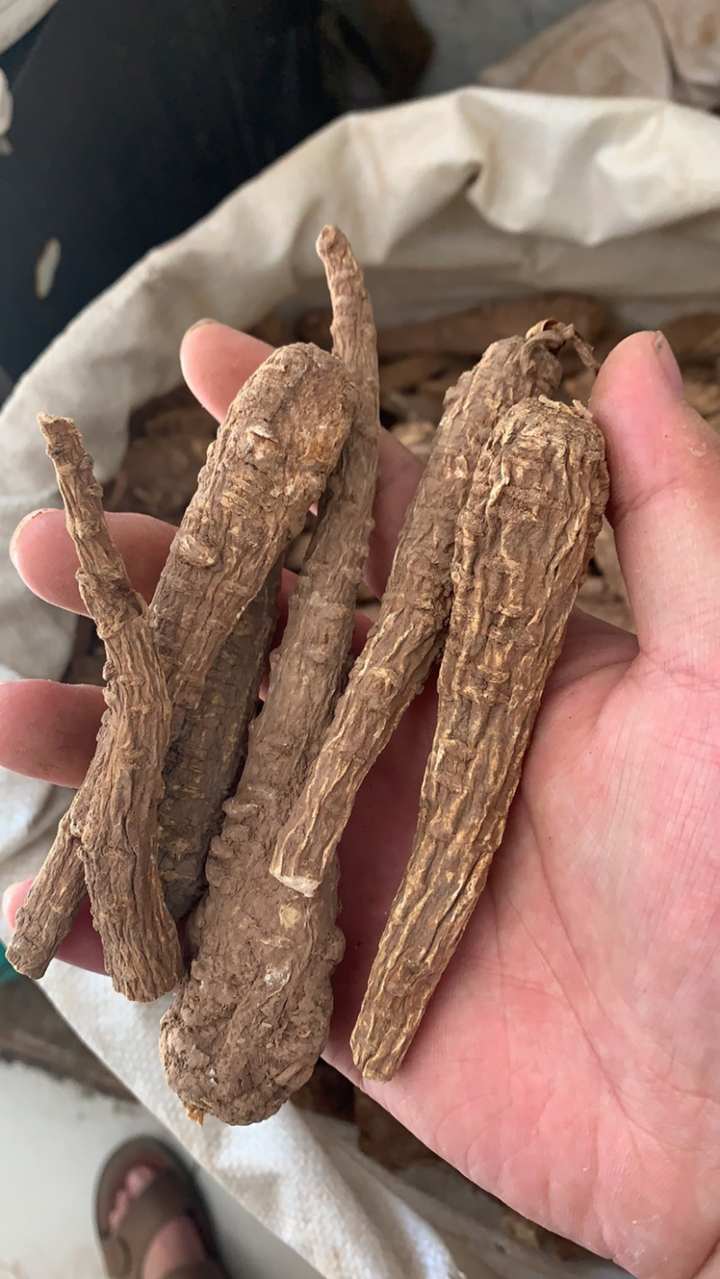 白芷各种规格价格便宜质量又好