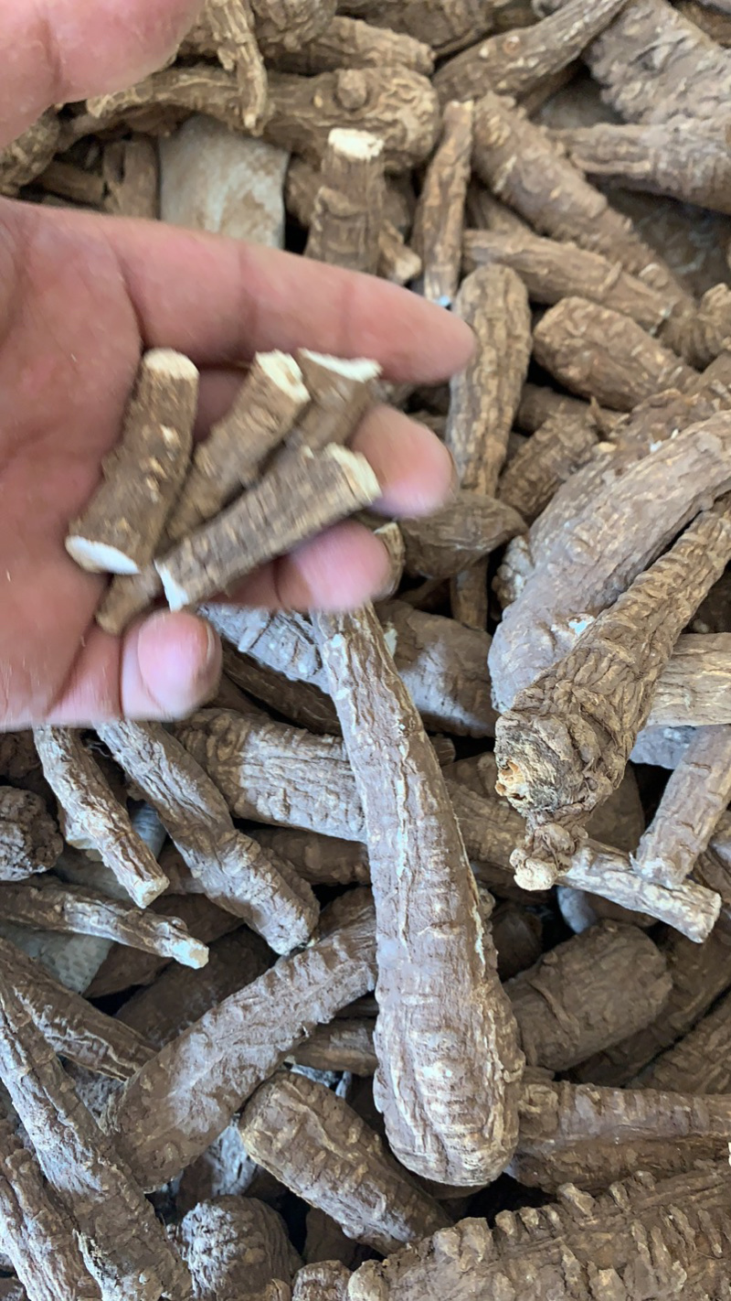 白芷各种规格价格便宜质量又好