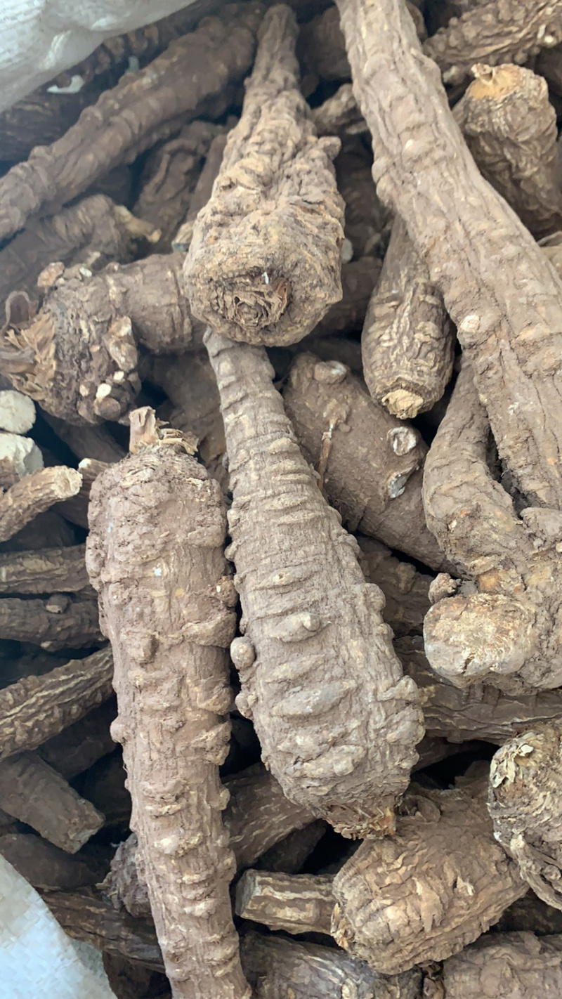 白芷各种规格价格便宜质量又好