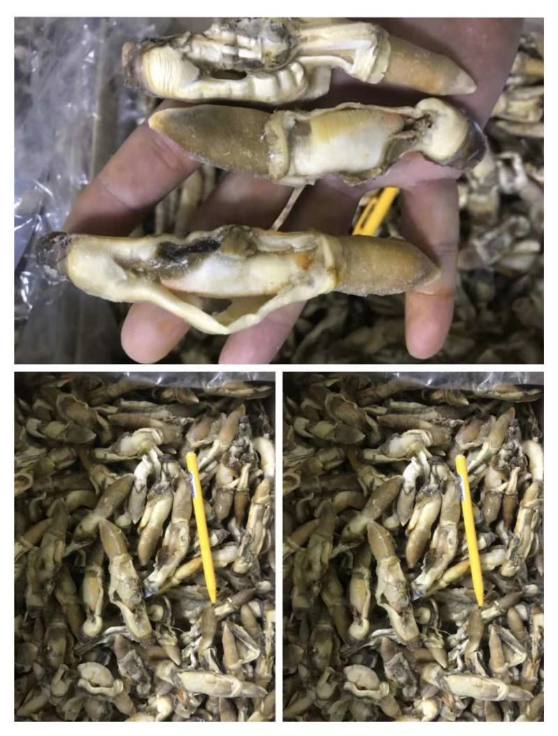 蛏子肉海圣子竹蛏鲜活新鲜现剥水产竹节蛏王肉火锅食材蛏王肉