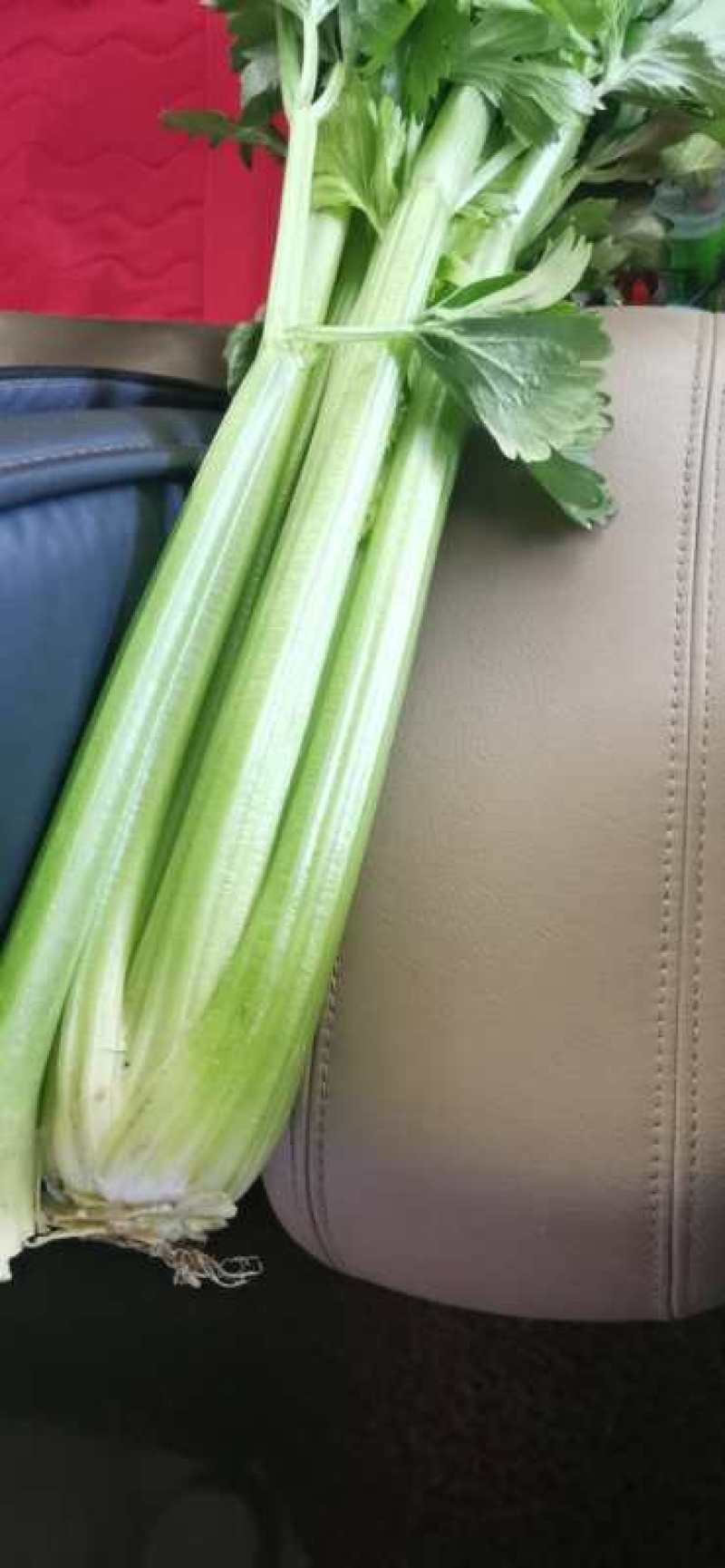 精品西芹，剁头不剁头都可以