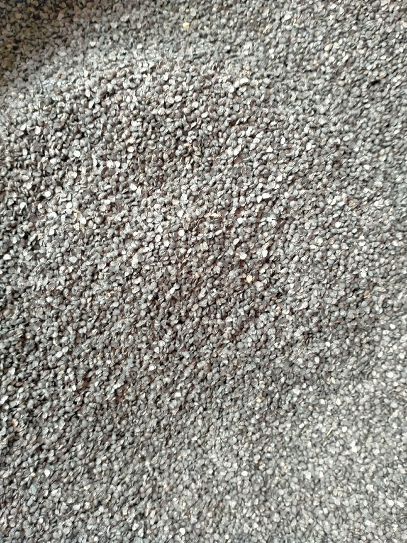 韭菜子规格齐全大货批发一手货源价格优！含量高！