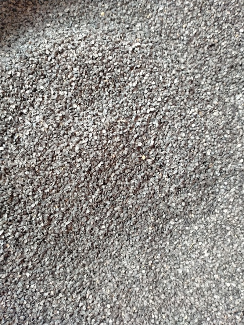 韭菜子规格齐全大货批发一手货源价格优！含量高！