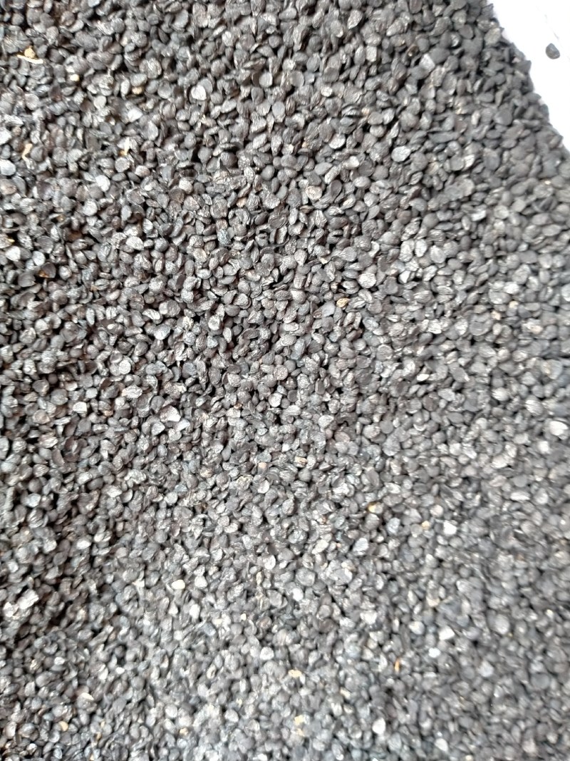 韭菜子规格齐全大货批发一手货源价格优！含量高！