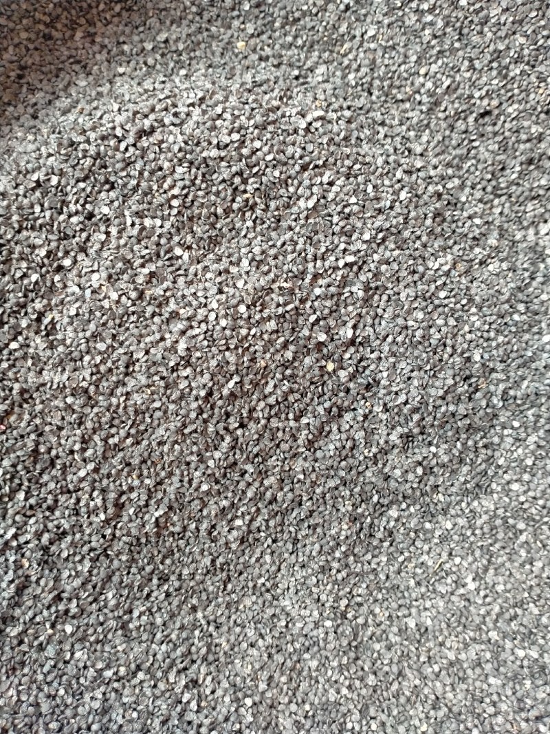 韭菜子规格齐全大货批发一手货源价格优！含量高！