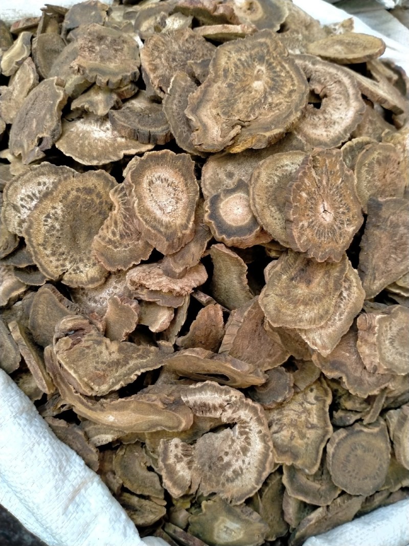 大黄各种规格一手货源大货批发含量高价格优！