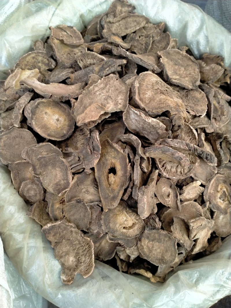 大黄各种规格一手货源大货批发含量高价格优！