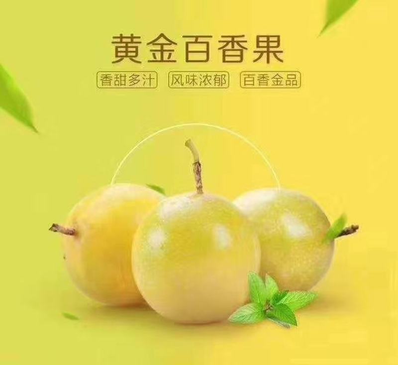 黄金百香果，产地直发，新鲜采摘！