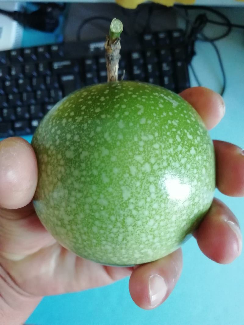黄金百香果，产地直发，新鲜采摘！