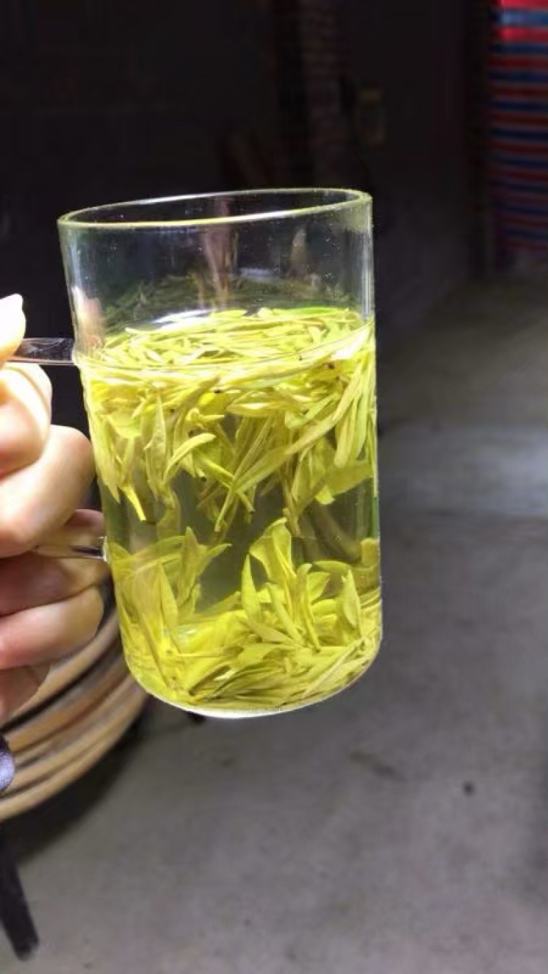 批发零售安吉黄茶，安吉白茶