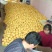 优质黄金桃抢先上市量大优惠