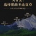 野生那曲断虫草严选20g断草包邮性价比高售后有保障