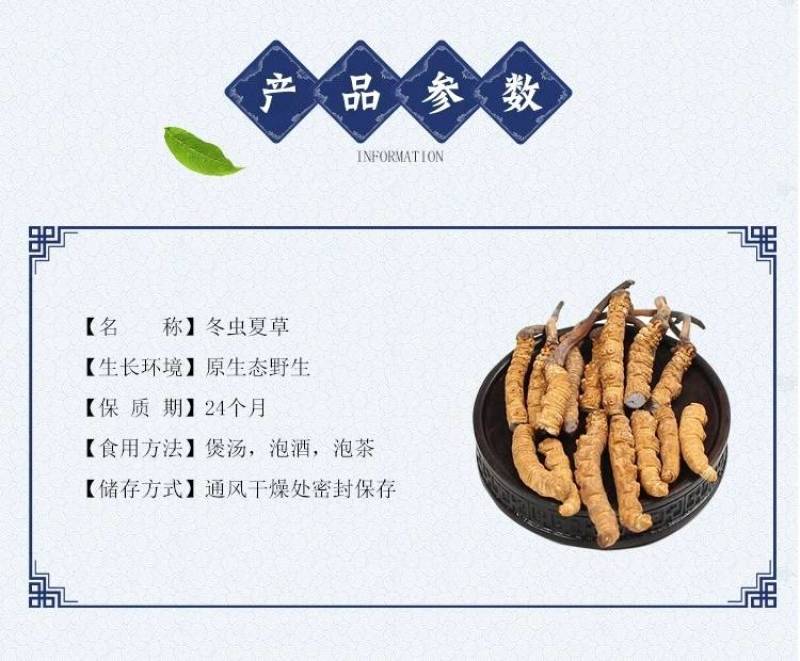 野生那曲断虫草严选20g断草包邮性价比高售后有保障