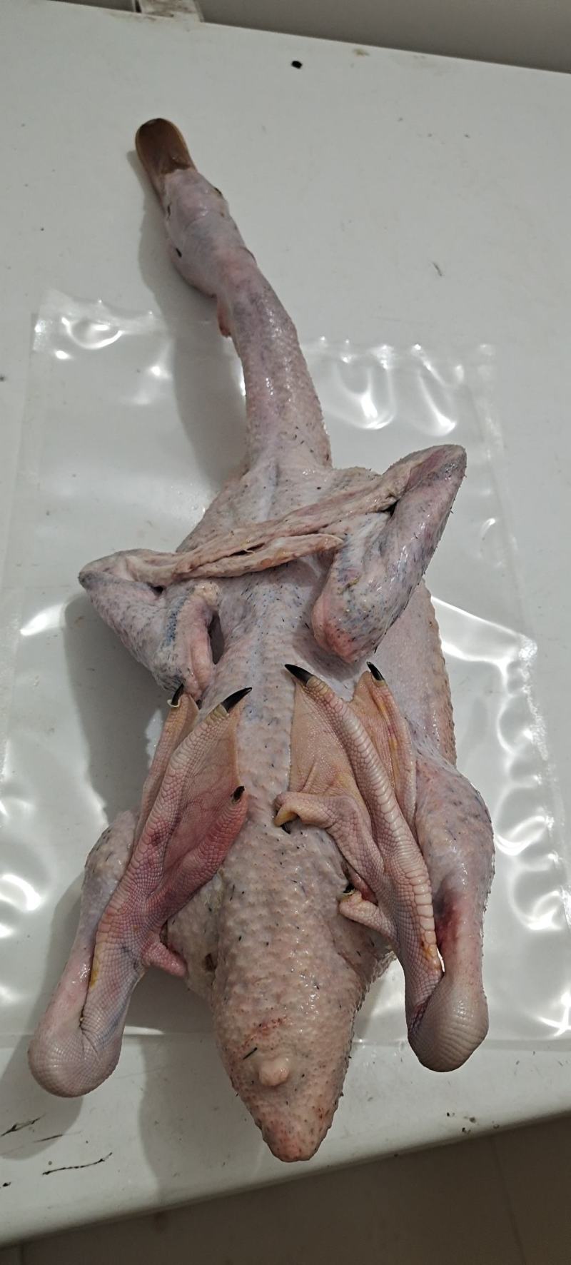 麻鸭，土鸭，青头鸭，水鸭，现杀真空发货