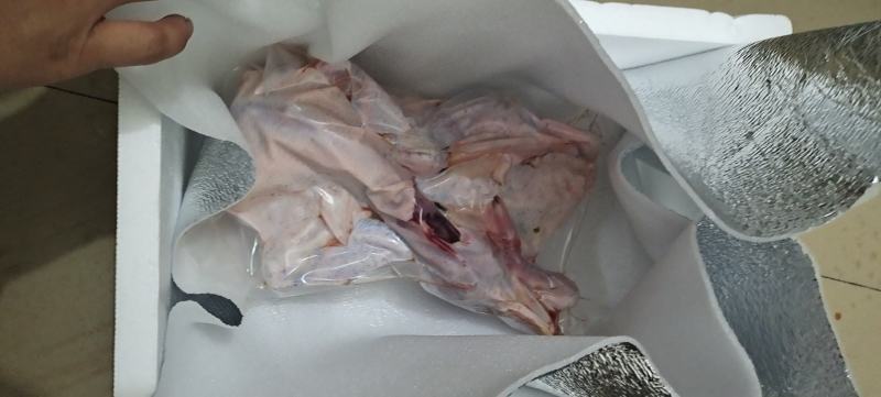 麻鸭，土鸭，青头鸭，水鸭，现杀真空发货