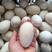 鲜鹅蛋鲜蛋，初生蛋，小鹅蛋，大鹅蛋，双黄鹅蛋，狮头鹅蛋