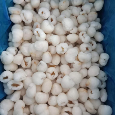 液氮负196度低温冷冻荔枝肉