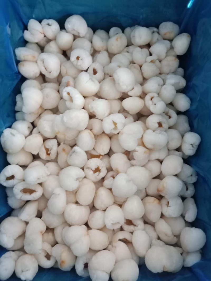 液氮负196度低温冷冻荔枝肉