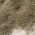 山东金银花纯正道地山东货，通货，药厂投料货