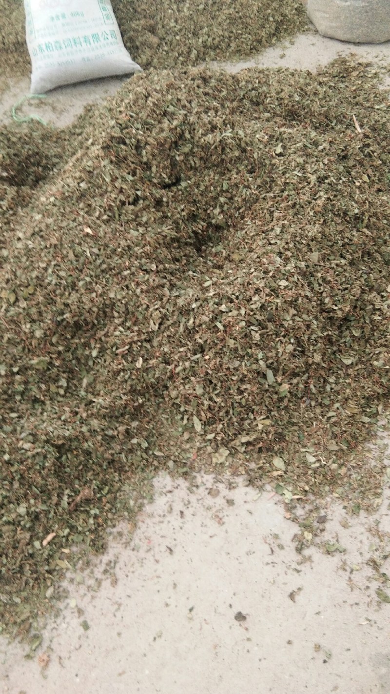 山东金银花纯正道地山东货，通货，药厂投料货