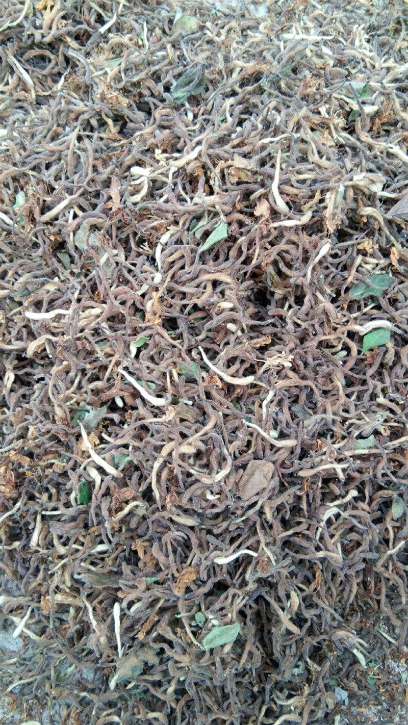 山东金银花纯正道地山东货，通货，药厂投料货