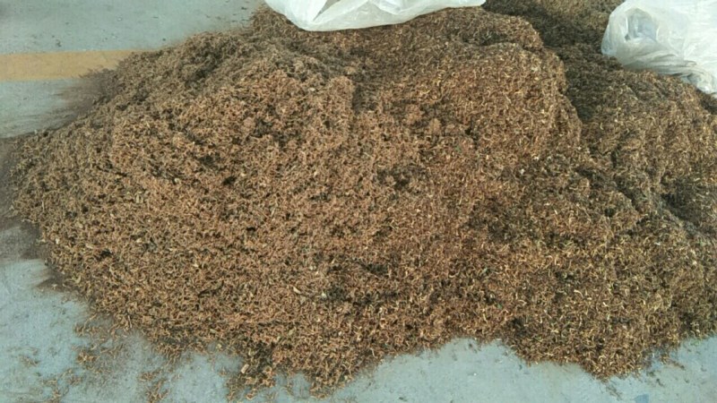 山东金银花纯正道地山东货，通货，药厂投料货