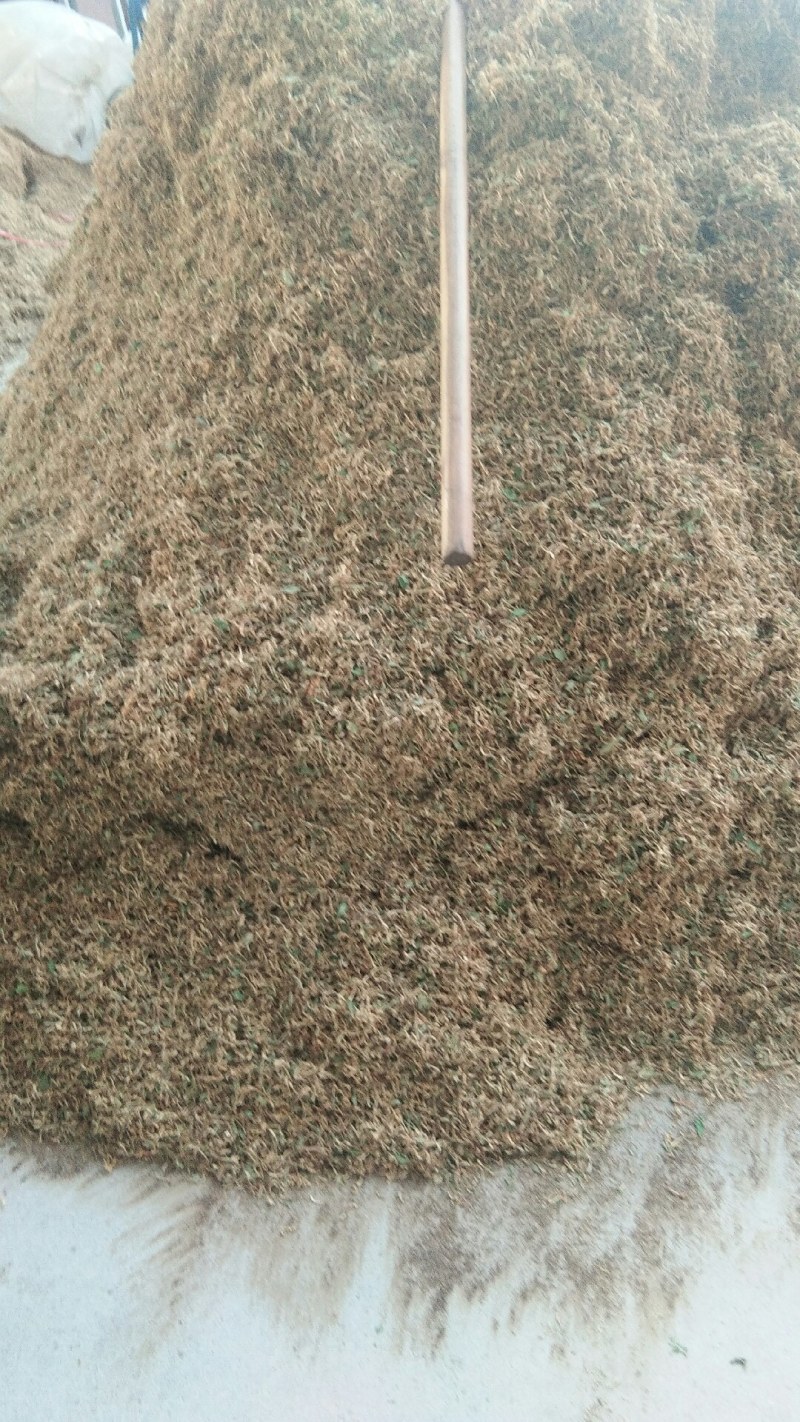 山东金银花纯正道地山东货，通货，药厂投料货