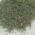 山东金银花纯正道地山东货，通货，药厂投料货