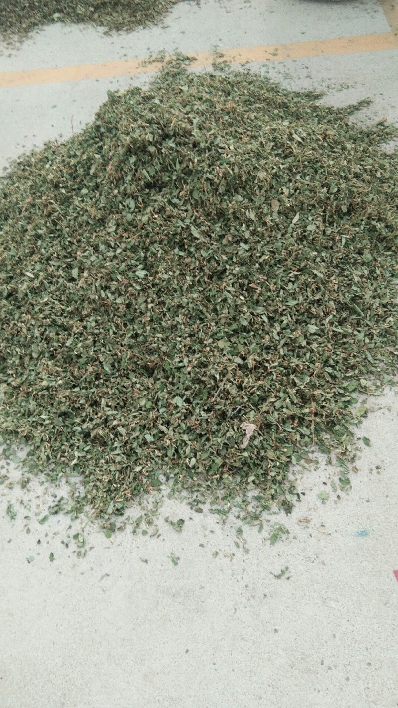 山东金银花纯正道地山东货，通货，药厂投料货