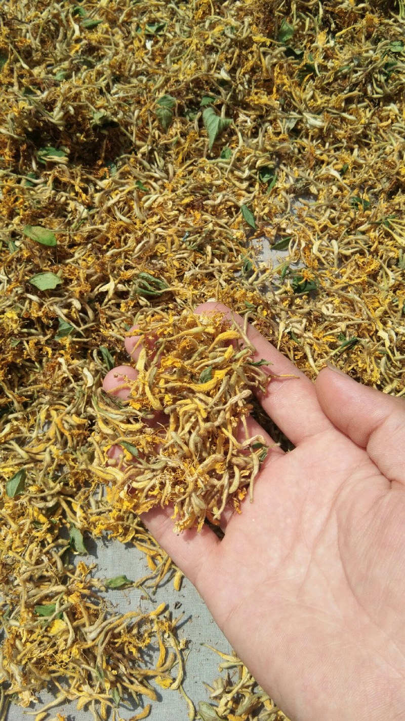 山东金银花纯正道地山东货，通货，药厂投料货