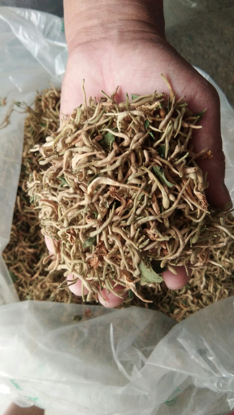 山东金银花纯正道地山东货，通货，药厂投料货