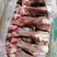 20斤冻鲜多肉后棒骨筒子骨熬汤饭店卤菜馆专用整箱江浙沪皖