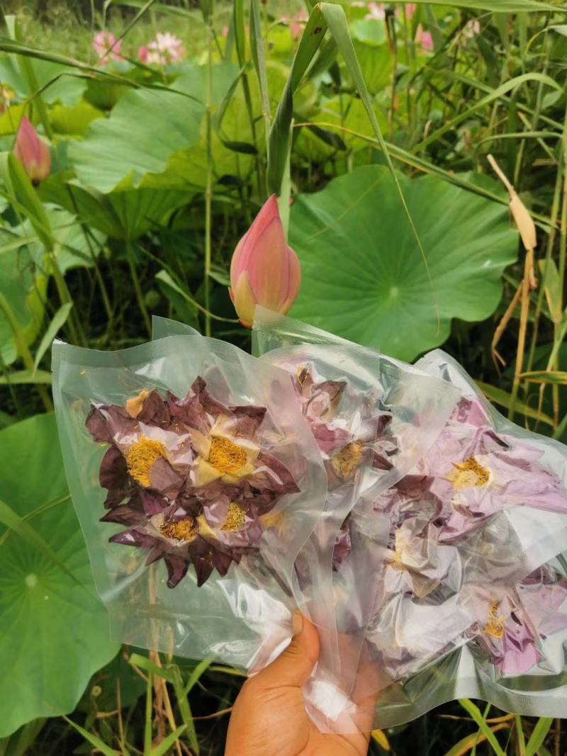 精品野生荷叶茶