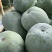 【市场货】一串玲冬瓜货源充足，质量好价格实惠，可发全国