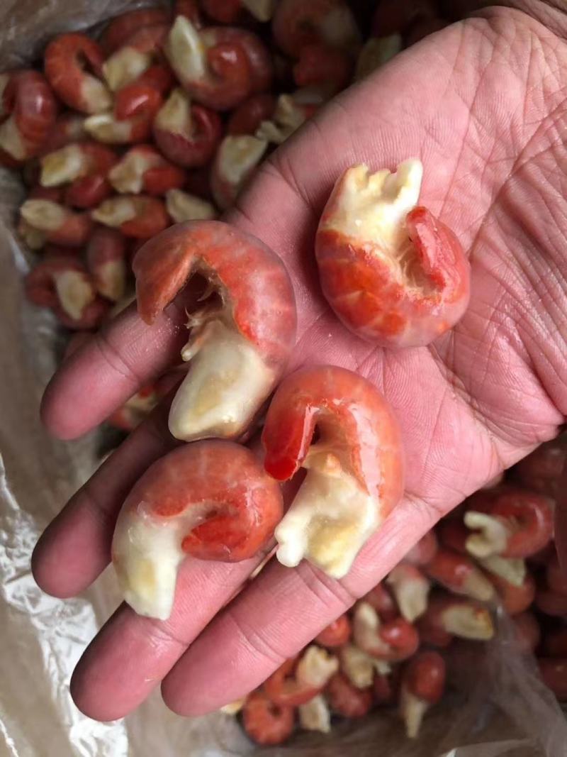 虾中霸特级龙虾尾，下料五斤