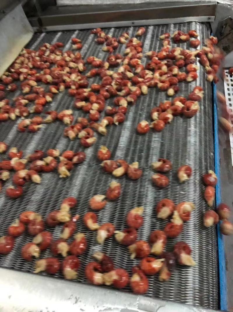 虾中霸特级龙虾尾，下料五斤