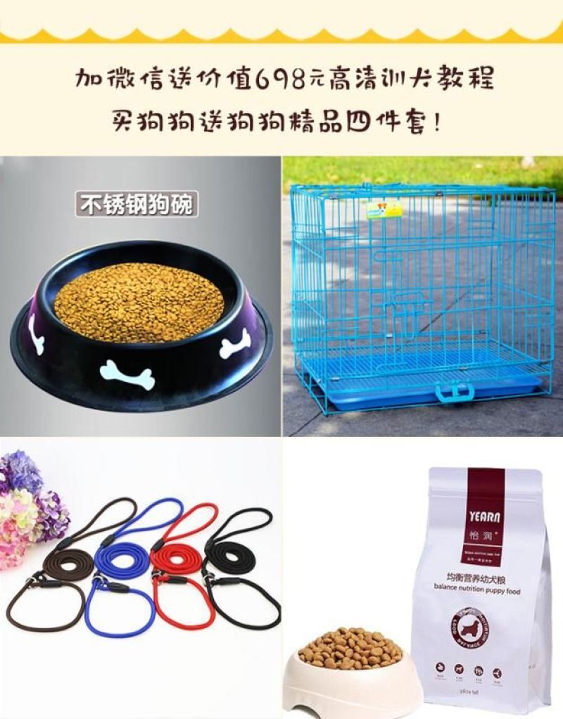 纯种德国牧羊犬包成活三针疫苗咨询送豪礼