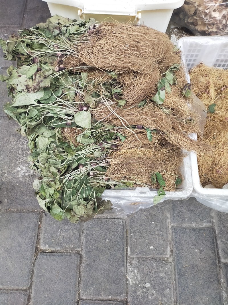 细辛，大巴山野生华细辛干货，适合家庭调味，农家乐