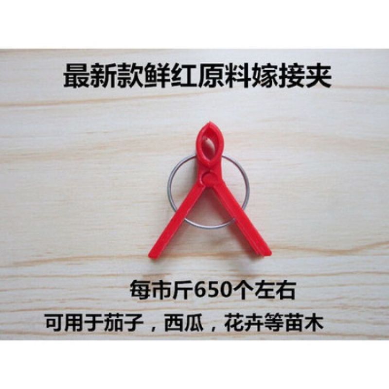 嫁接夹黄瓜辣椒西瓜蔬菜嫁接夹子圆口平口嫁接专用新款嫁接夹