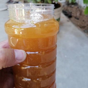 农家自产自销纯蜂蜜，保证质量，天然无添加
