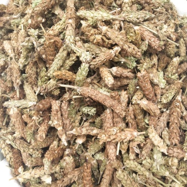 夏枯草夏枯草夏枯球今年新货新花中大