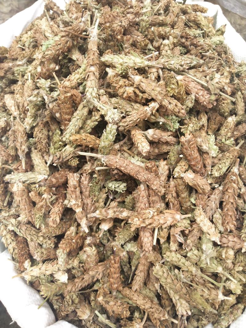 夏枯草夏枯草夏枯球今年新货新花中大