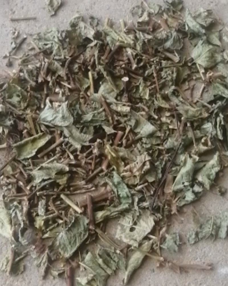 精品火炭母草，优质火炭母草，野生货叶子多青绿色，欢迎选购