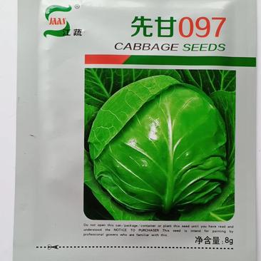 江蔬先甘097甘蓝种子早熟圆球品种