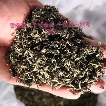 碧螺春～十号青茶一级初长烘青绿茶
