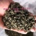 碧螺春～十号青茶一级初长烘青绿茶